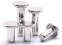304 stainless steel GB109 flat round head solid rivet M2M2 5M3M4M5M6 national standard large flat head solid rivet