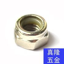 DIN982 Thickened Hexagon 304 Stainless Steel Nylon Anti-Loose Lock Nut 316 Self-Locking Nie M3M4M5M20