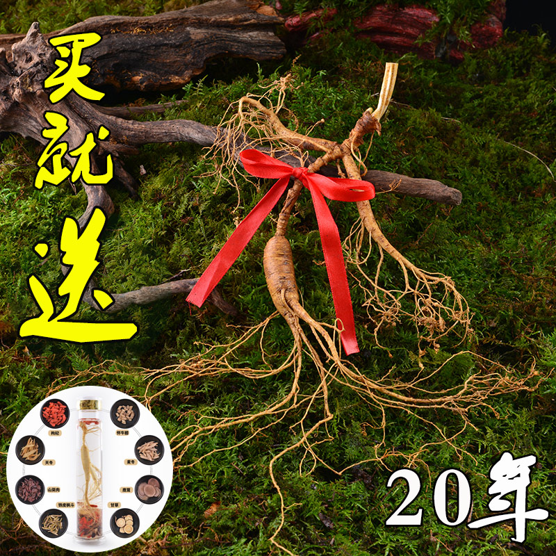 Ginseng Wild Mountain ginseng Changbai Mountain fresh forest ginseng with earth-soaked wine soup stewed chicken 20 years of wild Northeast fresh ginseng