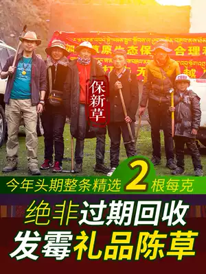 2 Genke 21-year-old new first period Tibet Naqu wild Cordyceps whole selection authentic fidelity SF gift box