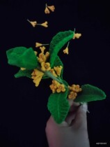 Osmanthus osmanthus wiring and material connection of Lanyuejia woolen flower does not include video tutorials