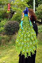 Lanyue home peacock wiring link