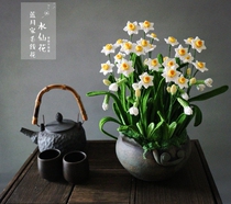 Blue Moon family wool flower daffodil hand hook material package non-finished products do not include crochet and flower pots Novice shoot carefully