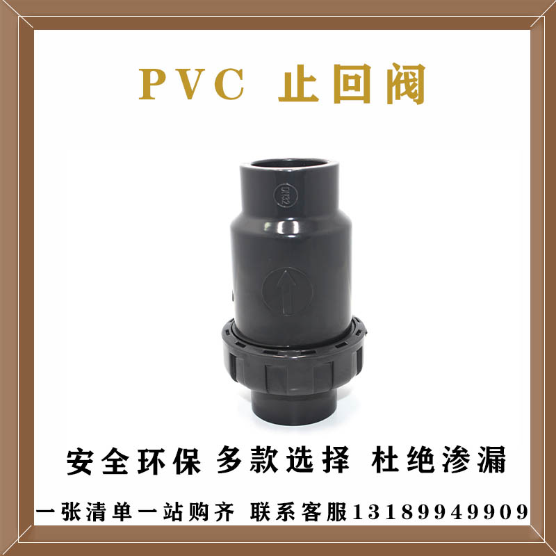 South Asia Chemical PVC Anti-backvalve Anti-backwater Valve Anti-water Valve Filter Check Valve Inner Diameter 20-110mm