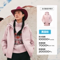 【Женская модель】 Магнитный порошок плитки | Fleeme Set Set Tawwbn92705