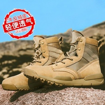 Summer hiking shoes womens outdoor shoes hiking hiking shoes light breathable high-top desert shoes womens shoes hiking boots mens shoes