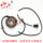 Статор катушки магнето Earth Eagle King Coil DD250G-2N/3N DD250E-9A DD300/350G mini 4