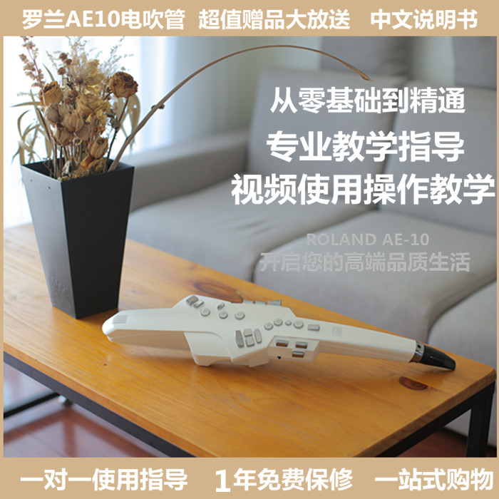 Roland Rolland AE-10 AE10 electric blow pipe electrosax SAX blown pipe spot