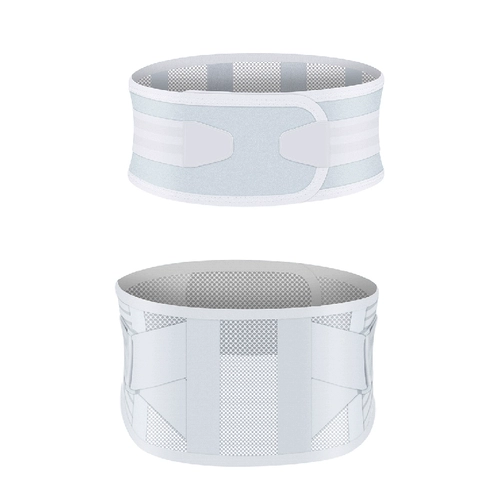 Поясничная поясничная поясничная тарелка, выступающая поясничная мышца, поясничный позвонок, поясничная боли в талии, женщины по талии по талии