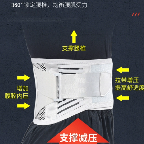 Поясничная поясничная поясничная тарелка, выступающая поясничная мышца, поясничный позвонок, поясничная боли в талии, женщины по талии по талии