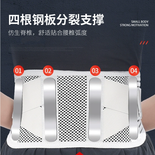 Поясничная поясничная поясничная тарелка, выступающая поясничная мышца, поясничный позвонок, поясничная боли в талии, женщины по талии по талии