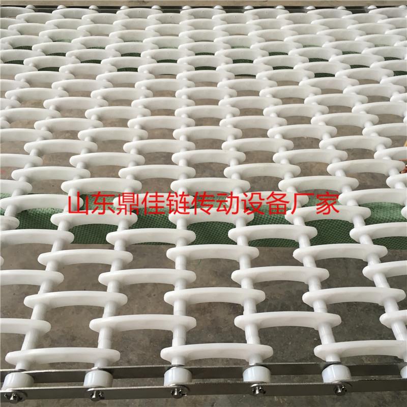 HOT PIN SUPPLY PLASTIC DISHWASHER MESH WITH WEAR-RESISTANT CHAIN STRIP TYPE NYLON MESH WITH PLASTIC CHAIN PLATE CONVEYOR BELT