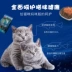 Mai Fudi miếng cá vào thức ăn cho mèo 1,7kg cá ngừ thành thức ăn tự nhiên cho mèo - Cat Staples hạt ăn cho mèo Cat Staples