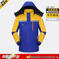 Сокровище синее дно желтое плечо единственное хлопчатовод