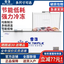 Snowflake Freezers Grande capacité commerciale Home Horizontal Freezer Small Twin Warm Refrigerated Freezer Single Warm Freezer Home