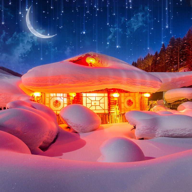 东北冬天旅游跟团游:2025年最新避坑指南你真的了解吗?