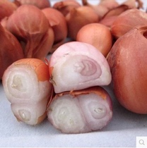 Vietnamese shallot onion winter Yin Gong soup ingredients fresh red onion can be fried red onion 500g