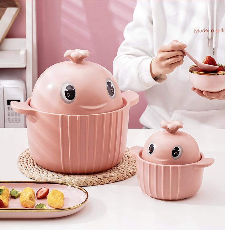 Pink whale household high temperature and flame special gas stove ceramic small sand cooker stew pot cooker for cassile