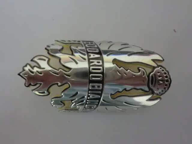 Autocollant pour vélo BIANCHI - Ref 2276324 Image 8