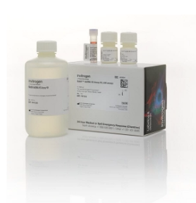Invitrogen Qubit dsDNA 定量试剂盒 范围 0.1-12ng Q32854 500次