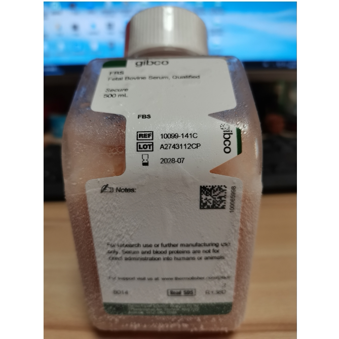 gibco 10099141C 澳洲胎牛血清FBS 用于细胞培养10099-141C 500ml