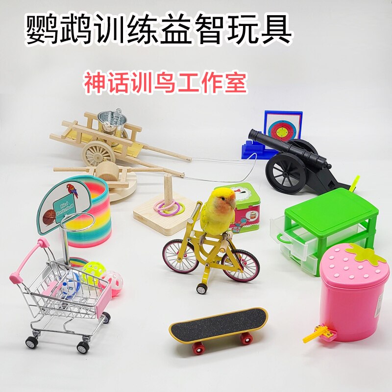 Parrot training toys bird training props ring basketball grinding shopping cart cannon