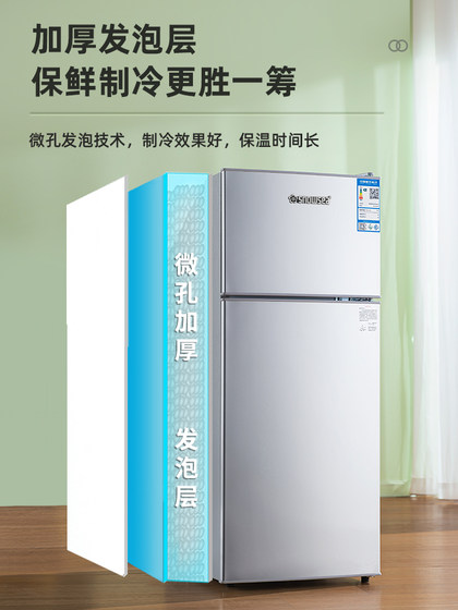 香雪海冰箱小型家用双开门二人出租房用单人宿舍迷你一级能效省电