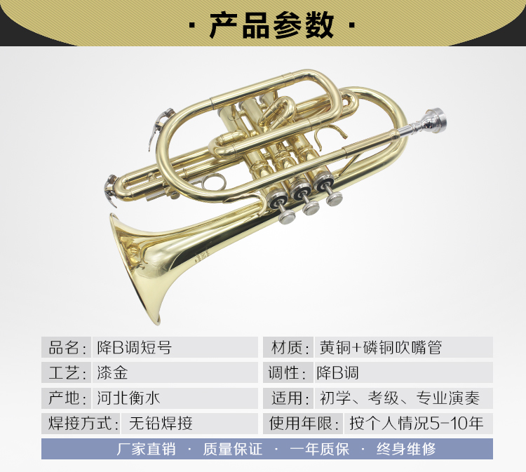 bB điều chỉnh B điều chỉnh số ngắn số nhỏ đồng thau cụ chuyên nghiệp cấp số ngắn - Nhạc cụ phương Tây đàn acoustic
