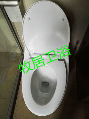 Toilet cover adapted to Vida WEIDA old style toilet cover V UF seat plate PP toilet plate slow mute cover