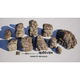 Ue Unreal-Stone and Rock Models-Rocks Vol.1-Snow, Wetness, Moss (Nanite)