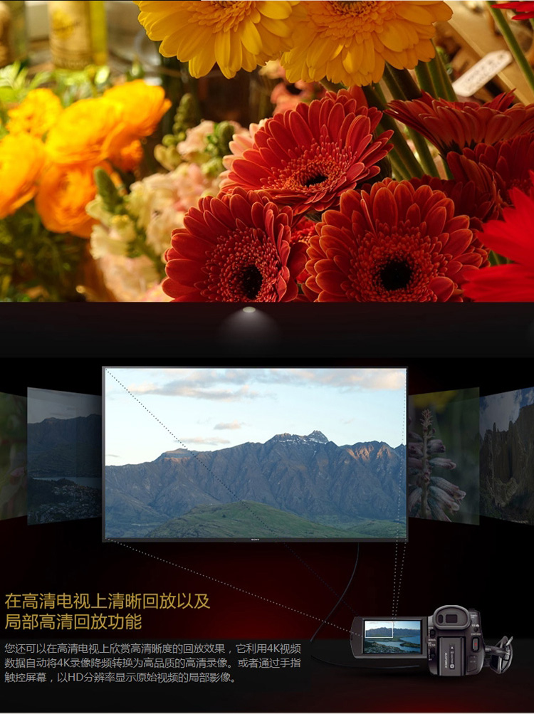 Máy ảnh SONY / Sony 4K HD FDR-AX100E Nhiếp ảnh Trang chủ Camera ghi video Du lịch đám cưới - Máy quay video kỹ thuật số máy quay gopro hero 7