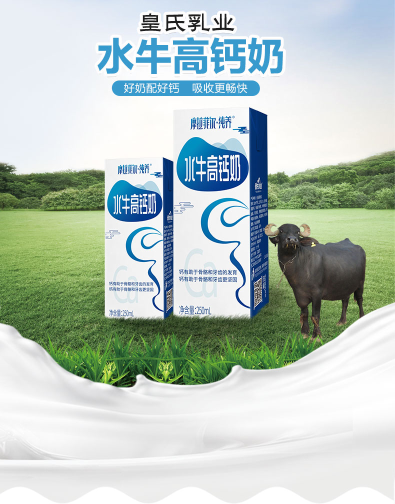 皇氏乳业纯养水牛高钙奶250ml*12盒