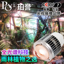 Peryu Aquarium led Full spectrum rainforest tank landscaping Moss pineapple plant wall growth fill light track spotlight