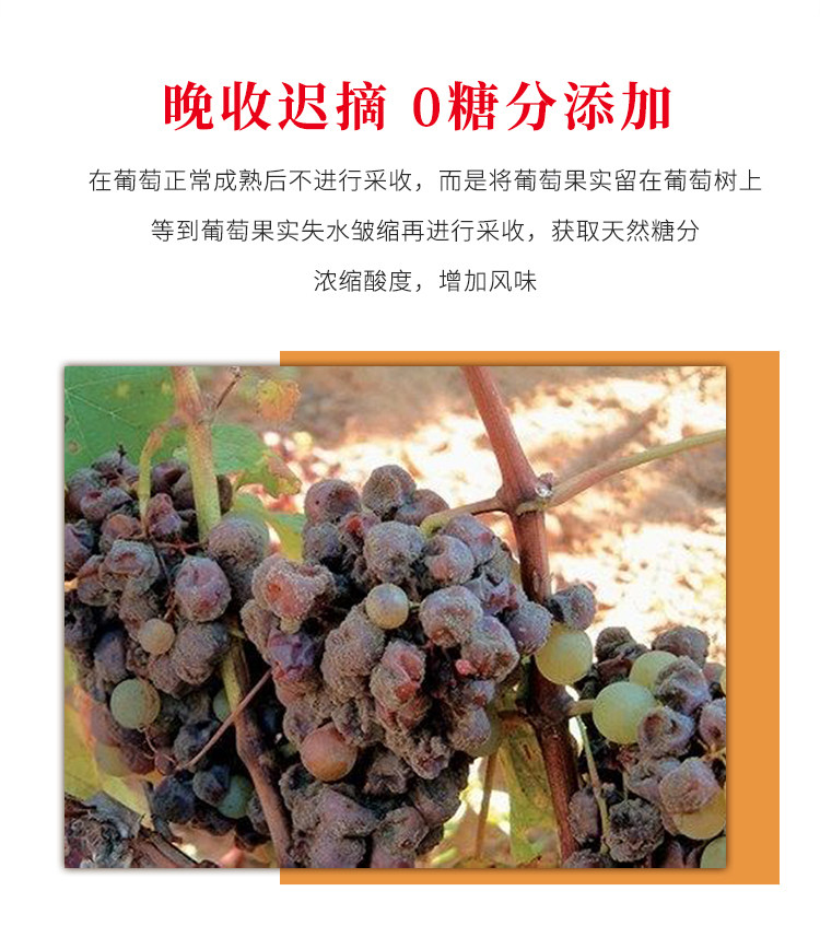 法国原瓶进口 拉蒙 波尔多AOC 布兰达酒庄甜白葡萄酒 750ml*2瓶 图4