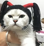 Парик маленькая косяка для головного отверстия декоративная собака плюшевые мишки мишки прекрасная стиля забавная смешная шляпа кошка