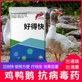 Приятно быть популярной птицей, цыплятами, утками и гусями.