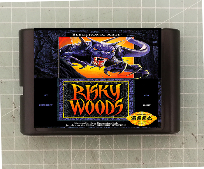 Action Adventure] New Sega sega MD 16-bit game card Slayer Archmage risky woods