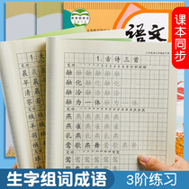 First grade sophomore 3rd grade 3rd grade Language copybook Language copywriting Post Synchronized Calligraphy Copybook 4th grade 5th grade 6th grade students with lettusexism Primary school students special block letters Hard pen calligraphy Daily One practice of writing a word