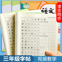 Elementary school students word post (lettumor-idiom) 3rd grade in 3rd grade Book of words literati literati literati Calligraphy Copybook textbooks Synchronized Elementary School Students Dedicated to Writing Bench Students Sketch Red Block Letters book Pen Copybook copywriting