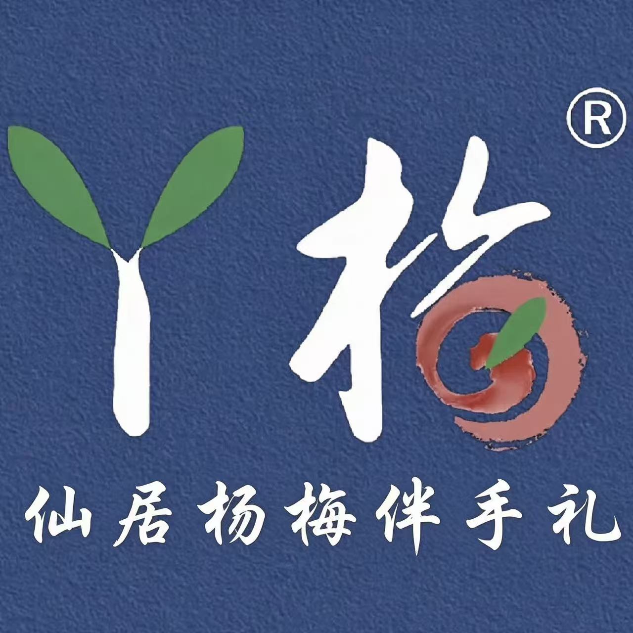丫梅 仙居杨梅伴手礼