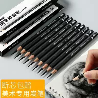 Black sketching pen soft carbon 12 soft and medium hard set sketch sketch pen Art student special sketch supplies beginner hand painting brush pencil painting set tool professional adult use