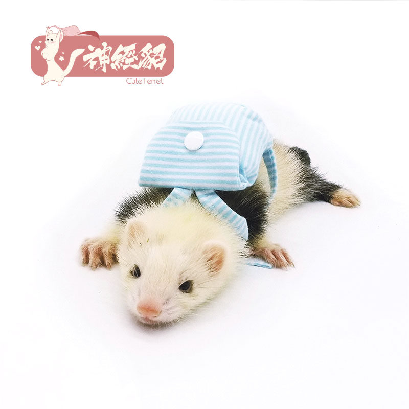 * Striped small Shoulder Bag * (Nerve Mink) Ferret Clothing Clothing Pet Snow Minke Clothes Angoru Angrug