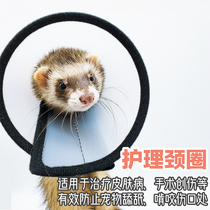 *Care neck ring*Elizabeth ring pet sak bite prevention anti-grab anti-licking anti-licking neck ferret beauty cover