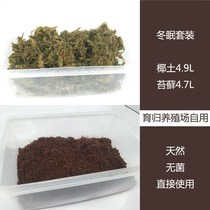 Grass turtle turtle hibernation sand box Hibernation supplies special home set Hibernation box Hibernation nest warm insulation sand