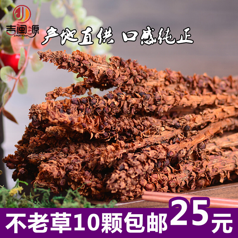 Not old grass wild grass Cistanche column as tea Changbai Mountain dry goods rejuvenation grass northeast bubble wine soup soup not old grass