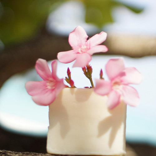 Lifesaving Grass Sunburn Repaired Whitening Soap Summer must fall into the full body with forest courtyard handmade cold soap