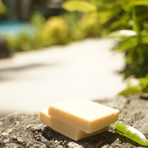 Adolescent acne Natural enemies Tea tree soap Adelaide Farm fresh tea tree essential oil cold soap