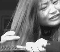 19.gif