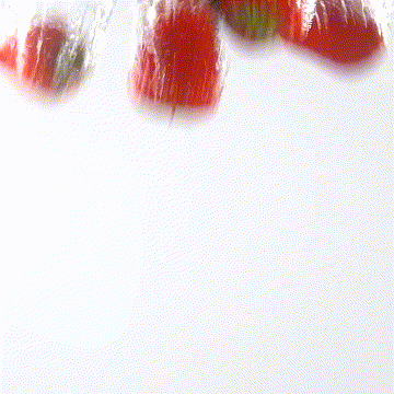 16.gif