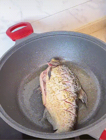 20211227_153928_003.gif